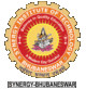 synergy logo